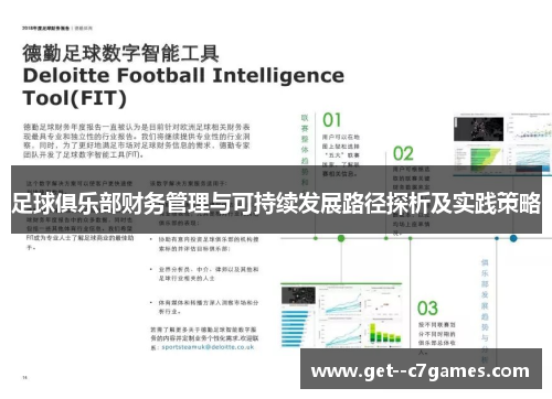 足球俱乐部财务管理与可持续发展路径探析及实践策略