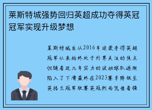 莱斯特城强势回归英超成功夺得英冠冠军实现升级梦想